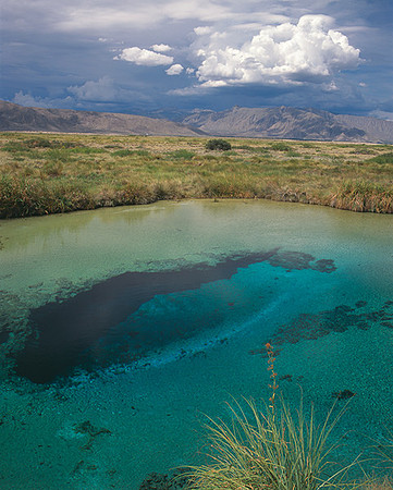 4000_20080719_ADS_Mexican_Landscape_Mexico_130