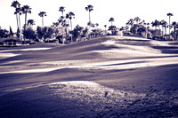 0031_La_Arizona_5L8Y5084-2