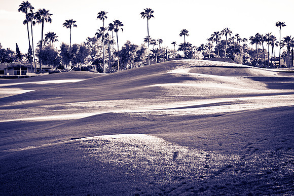0031_La_Arizona_5L8Y5084-2