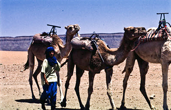 3189_SL_COLOR_TAMGROUTE_DUNES_MAROCCO_II_1998_8