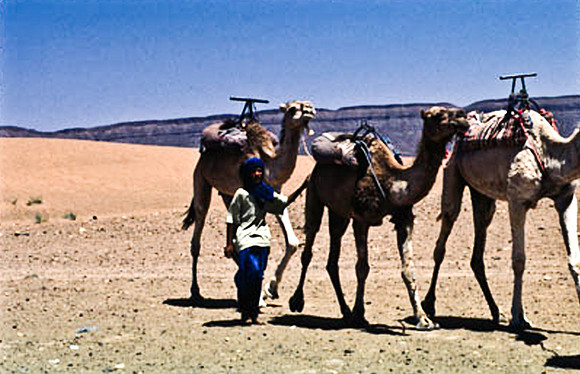 3189_SL_COLOR_TAMGROUTE_DUNES_MAROCCO_II_1998_10