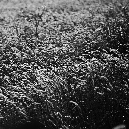 2379_FM_BW_SQ_MENDOCINO_CA_02.jpg
