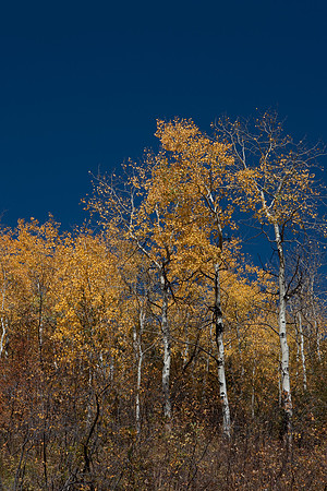 20080828_DVD9_DG_From_Glenwood_Spring_to_Aspen_CO_1988_full_blead