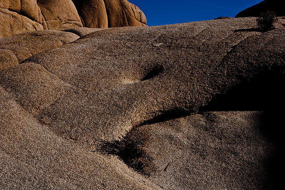 06646_DG_COLOR_JOSHUA_TREE_NAT_PARK_29_PALMS_CALIFORNIA_CA_USA_2007_ZV4N_472