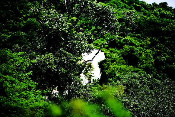 36264_DG_Color_North_America_Ixtapa_MexicoZV4N4763