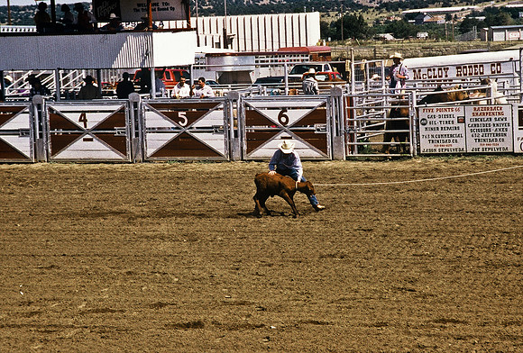 47493_B6_SL_COLOR_TRINIDAD_RODEO_CO_97_08.jpg