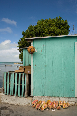 36174_DG_Color_USA_Harbour_Island_Bahamas_Related_GroupZV4N1219