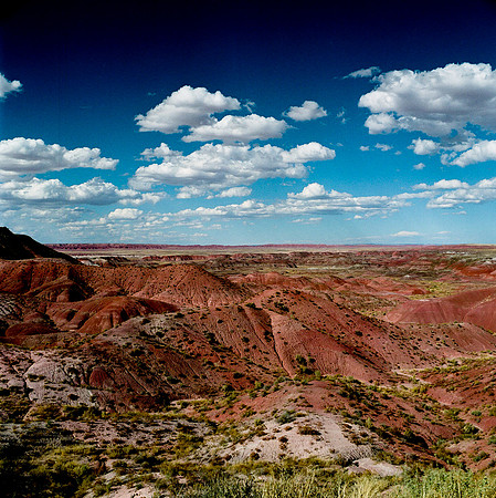 6142_COLOR_SQ_PAINTED_DESERT_AZ_USA_05_4.JPG