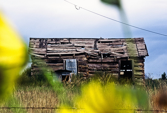 47497_B6_SL_COLOR_TRINIDAD_TO_HWY12_LOOP_SEGUNDO_BIG_PINE_RANCH_CO_97_04.jpg