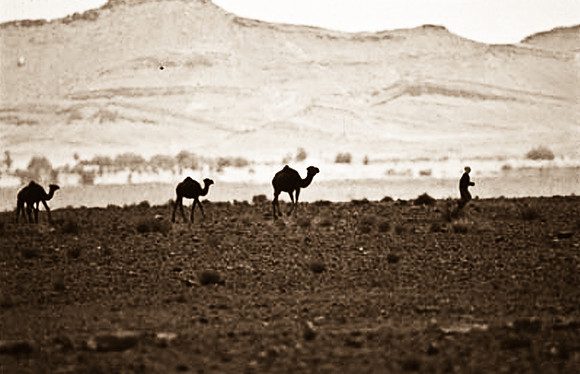 3198_SL_COLOR_RISSANI_MAROCCO_II_1998_7