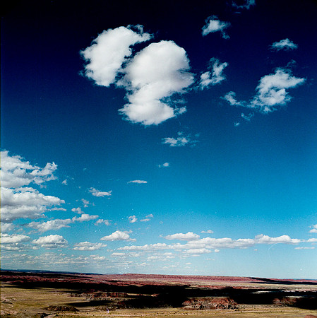 6142_COLOR_SQ_PAINTED_DESERT_AZ_USA_05_8.JPG