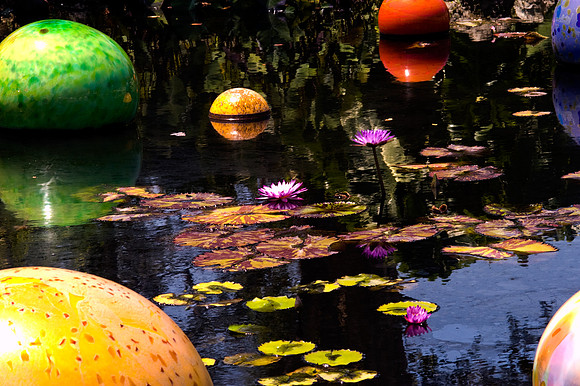 84775_DSC_0100_Fairchild_Garden_Miami_FL_USA
