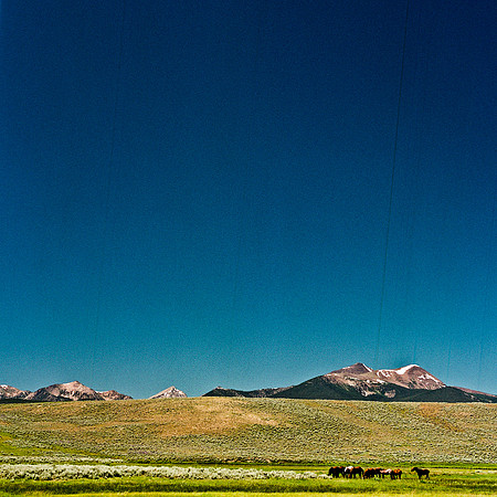2408_FM_COLOR_ID_02_6.jpg