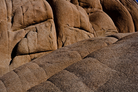 06646_DG_COLOR_JOSHUA_TREE_NAT_PARK_29_PALMS_CALIFORNIA_CA_USA_2007_ZV4N_468