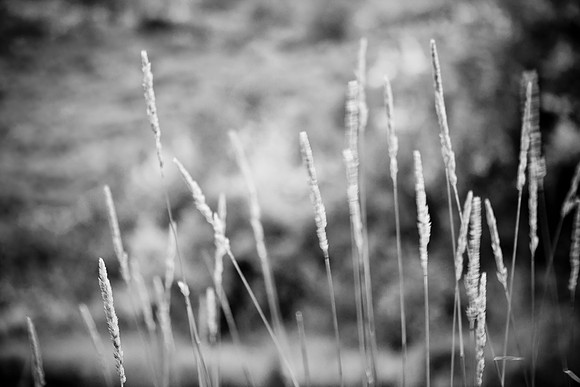 0019_Aspen_To_Jackson_Hole_Wyoming_5L8Y7119-2
