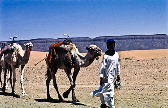 3189_SL_COLOR_TAMGROUTE_DUNES_MAROCCO_II_1998_15