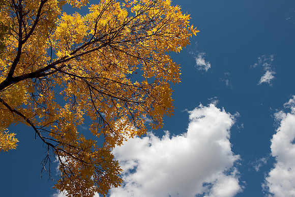 20080829_DVD15_DG_USA_Aspen_2240_full_blead