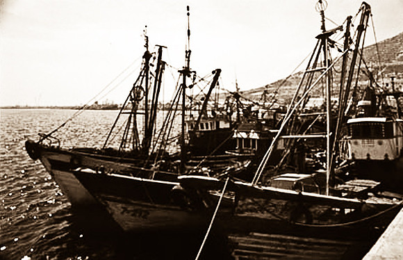 3238_SL_COLOR_TAROUDANNT_MAROCCO_II_1998_9