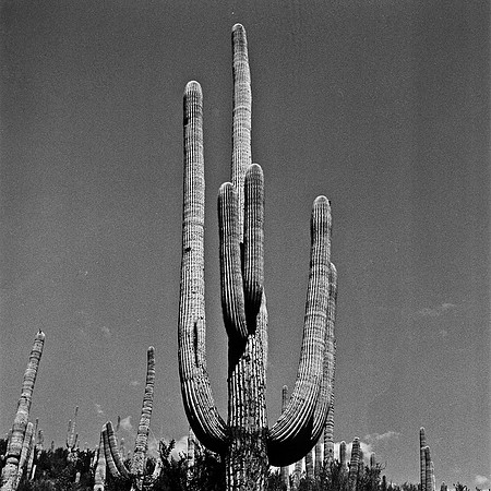 6018_FM_BW_TUCSON_AZ_05_10.jpg