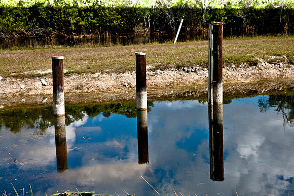 2527_EVERGLADES_MIAMI_FLORIDA_AOM_20090315__A0M1172