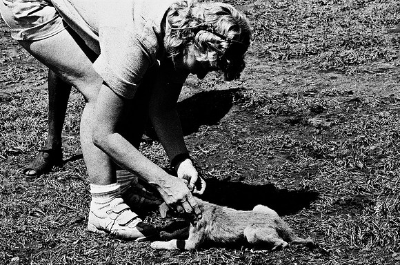 B3_82003_BW_194_New_Sarengety_Africa_89_12