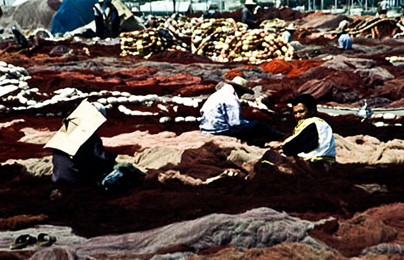 3238_SL_COLOR_TAROUDANNT_MAROCCO_II_1998_4