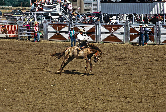 47494_B6_SL_COLOR_TRINIDAD_RODEO_CO_97_11.jpg
