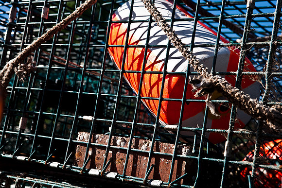 06596_DG_COLOR_BASS_HARBOR_MAINE_ME_USA_ZV4N_193_06
