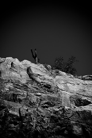0031_La_Arizona_5L8Y5480