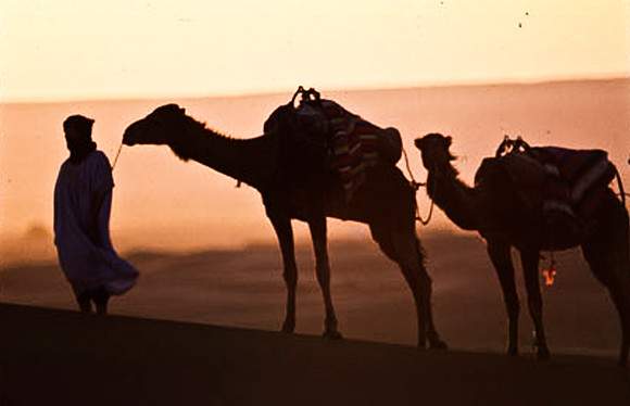 3203_SL_COLOR_MERZOUGA_SHAHARA_MAROCCO_II_1998_17