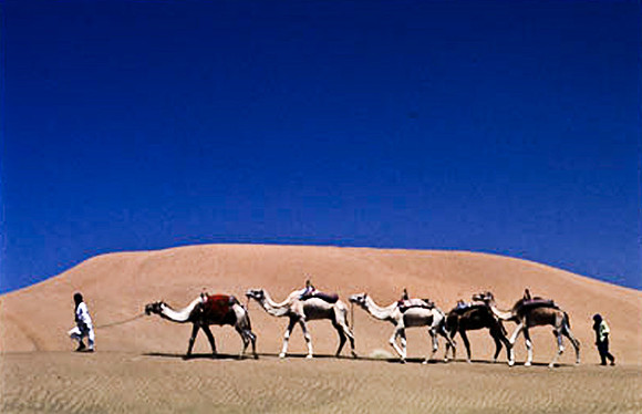 3192_SL_COLOR_TAMGROUTE_DUNES_MAROCCO_II_1998_10