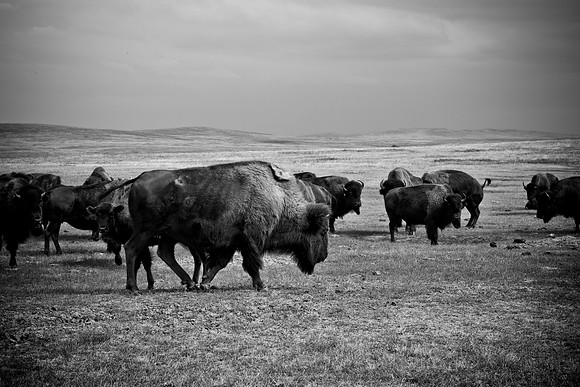 0044_North_Dacota_Fargo_to_South_Rapid_City_TO_CHEYENNE_5L8Y4175