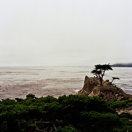 2366_FM_COLOR_CARMEL_CA_02_8.jpg