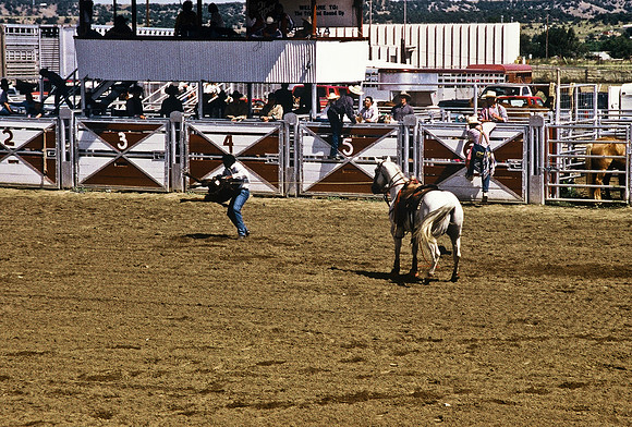 47493_B6_SL_COLOR_TRINIDAD_RODEO_CO_97_17.jpg