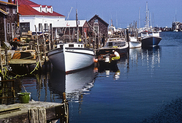 64033_B1_SL_COLOR_NY_78_10.jpg