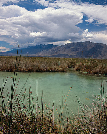 4000_20080719_ADS_Mexican_Landscape_Mexico_134