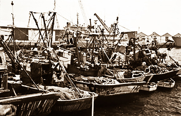 3236_SL_COLOR_TAROUDANNT_MAROCCO_II_1998_9