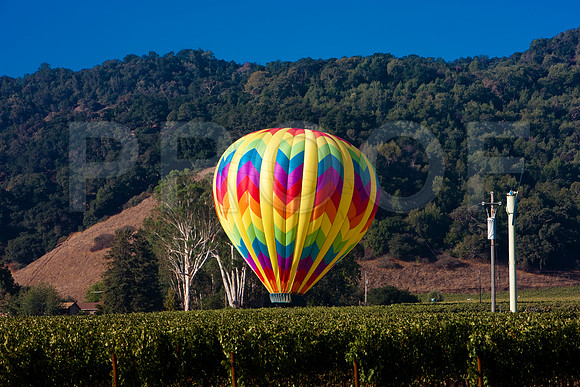 20080904_DVD25_DG_USA_Los_Olivos_CA_20080904_DVD25_DG_USA_Napa_CA_4700_full_blead