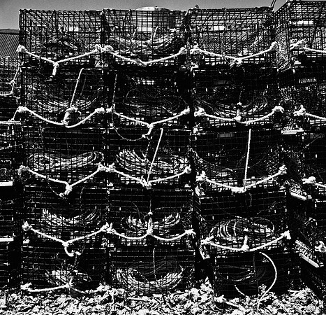 2255_FM_BW_CA_02_2.jpg