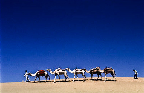 3192_SL_COLOR_TAMGROUTE_DUNES_MAROCCO_II_1998_19
