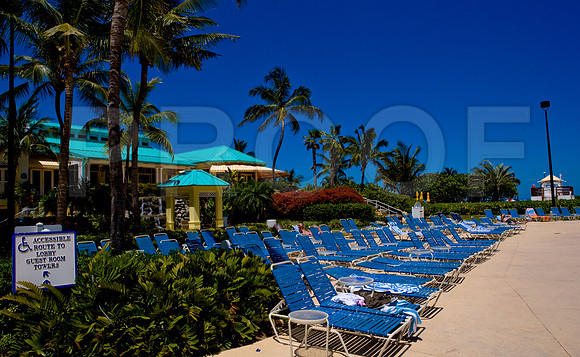 36181_DG_Color_USA_Miami_FL_Related_GroupZV4N9564