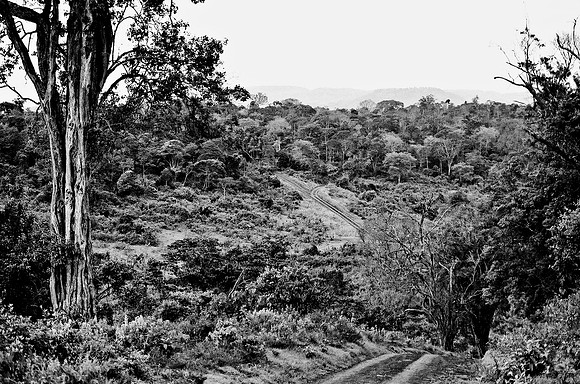 B3_82008_BW_194_New_Amboseli_Africa_89_36