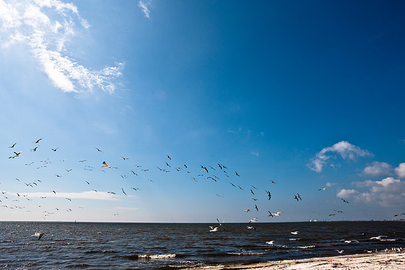 0036-NEW_ORLEANS_TO_PANAMA_CITY_BEACH_5L8Y1170