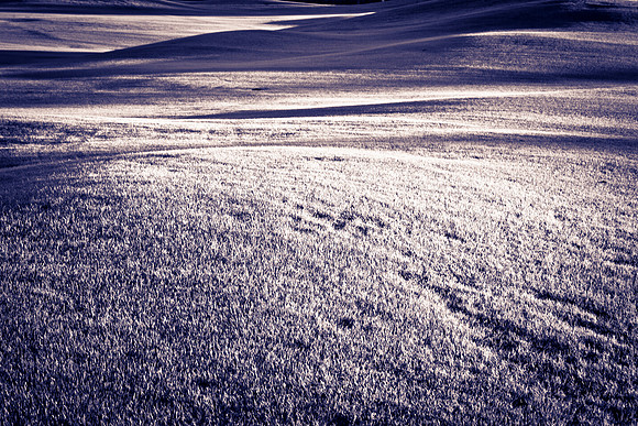 0031_La_Arizona_5L8Y5087-2