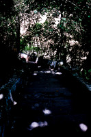 FILM