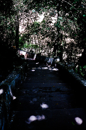 FILM