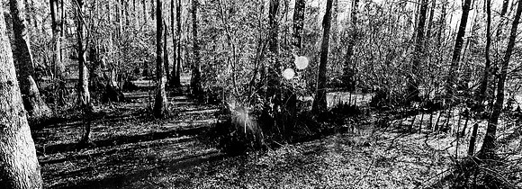 7749_FL_BW_LOUISIANA_01_4.jpg