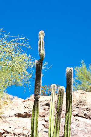 0031_La_Arizona_5L8Y5329
