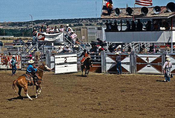 47494_B6_SL_COLOR_TRINIDAD_RODEO_CO_97_17.jpg