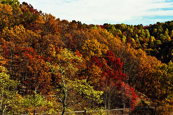 0258_FM_COLOR_MINESOTA_99_66.jpg